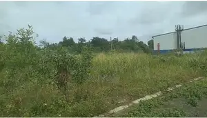 Company Owned Properties Land For Sale - Kimbulapitiya