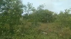 Company Owned Properties Land For Sale - Kimbulapitiya