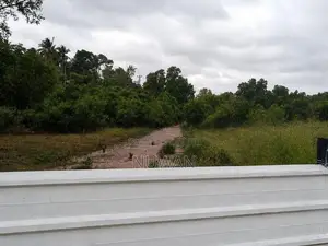 Company Owned Properties Land For Sale - Kimbulapitiya