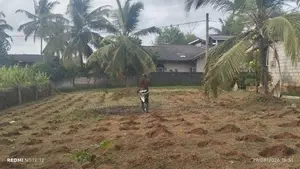 Commercial Land for Sale Walpola