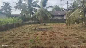 Commercial Land for Sale Walpola