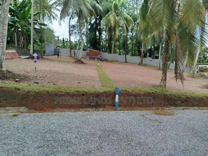 හෝමාගම නගරයෙන් බිම් කොටස් විකිණීමට