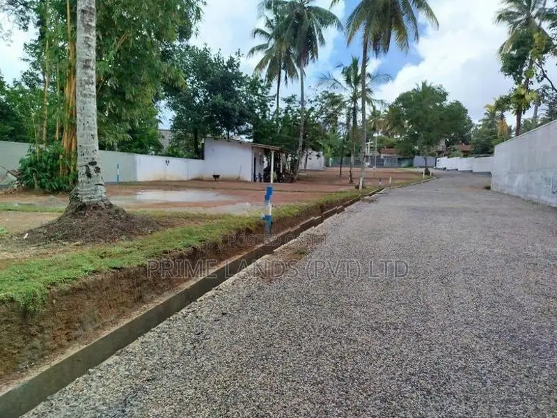 හෝමාගම නගරයෙන් බිම් කොටස් විකිණීමට