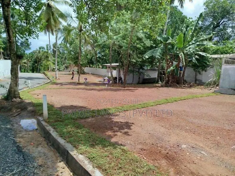 හෝමාගම නගරයෙන් බිම් කොටස් විකිණීමට