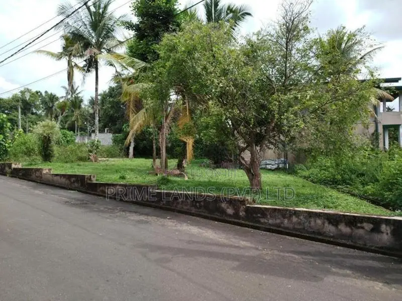 මාලඹේ චන්ද්‍රිකා කුමාරතුංග මාවතෙන් බිම් කොටස් විකිණීමට