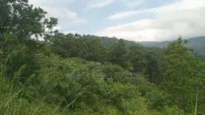Land for Sale Nillamba