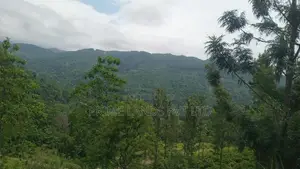Land for Sale Nillamba