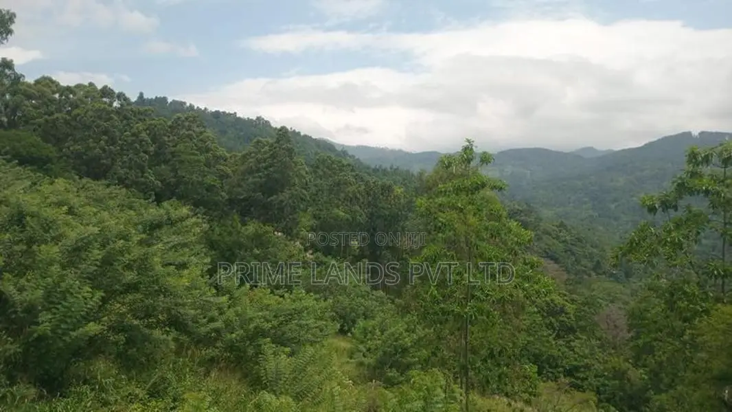 Land for Sale Nillamba