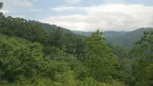 Land for Sale Nillamba