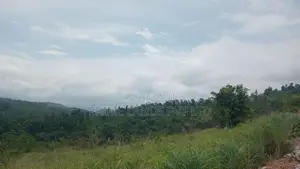Land for Sale Nillamba