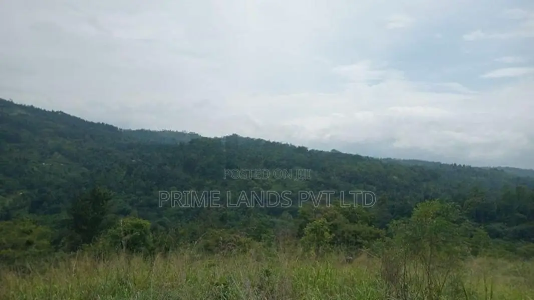Land for Sale Nillamba