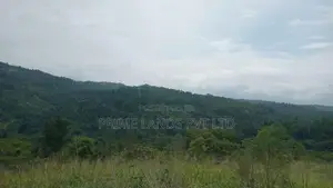 Land for Sale Nillamba