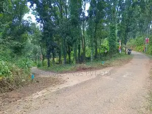 Beautiful Land for Sale Nelundeniya