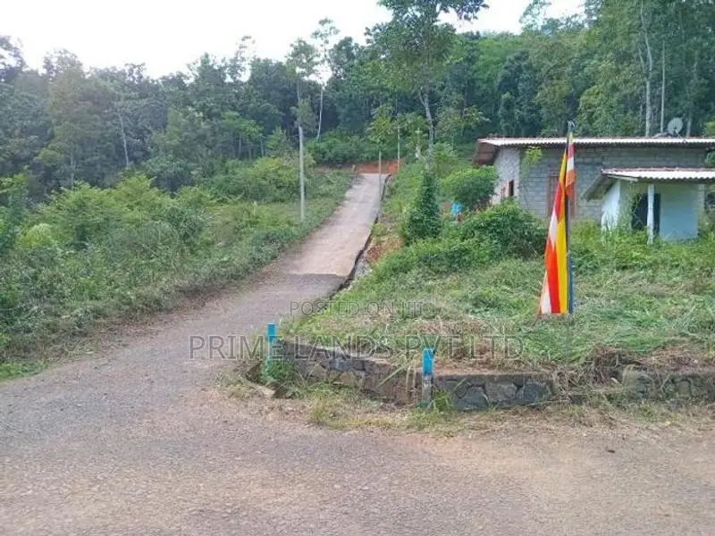 Beautiful Land for Sale Nelundeniya