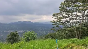 Land for sale in Pussellawa