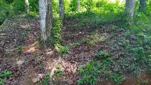 Residential Land for sale in Nelumdeniya