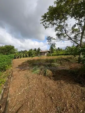 23.76 Perches Residential Land Plot Kahatuduwa