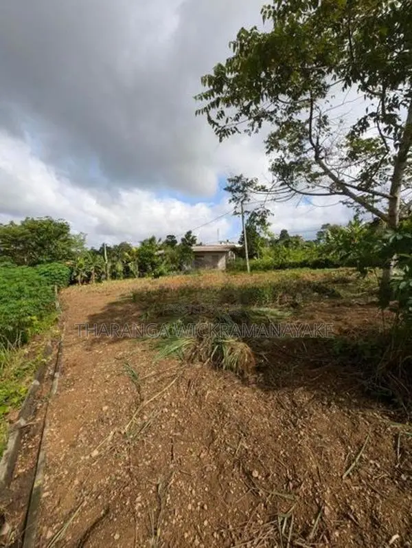 23.76 Perches Residential Land Plot Kahatuduwa