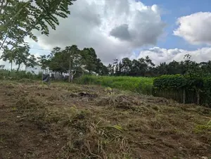 23.76 Perches Residential Land Plot Kahatuduwa