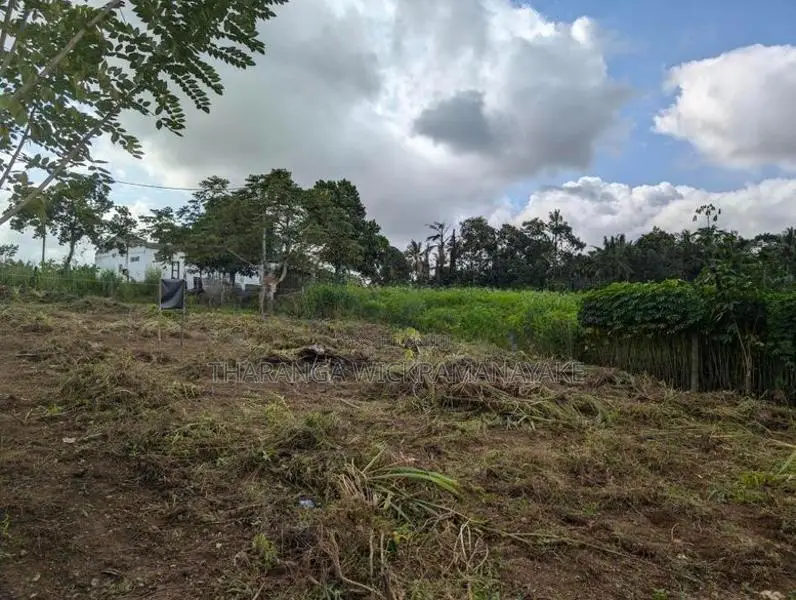 23.76 Perches Residential Land Plot Kahatuduwa