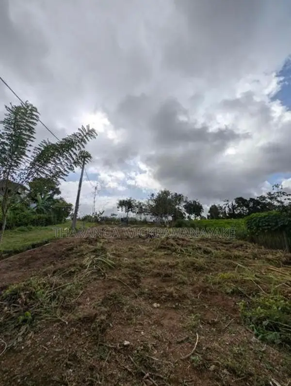23.76 Perches Residential Land Plot Kahatuduwa