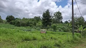 23.76 Perches Residential Land Plot Kahatuduwa