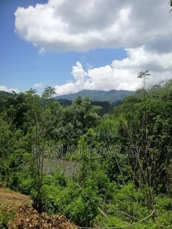 දියතලාවෙන් අගනා ඉඩමක් විකිණීමට