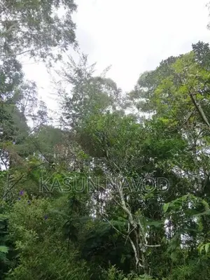 දියතලාවෙන් අගනා ඉඩමක් විකිණීමට