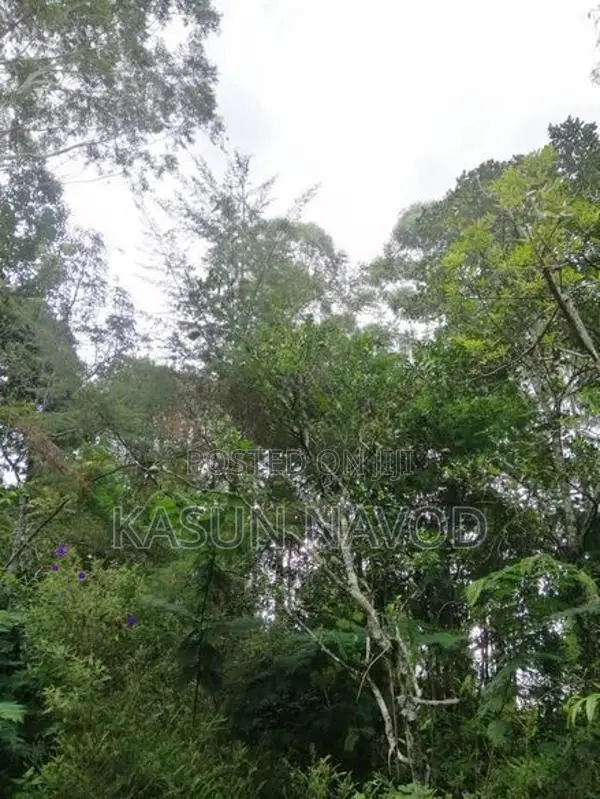 දියතලාවෙන් අගනා ඉඩමක් විකිණීමට