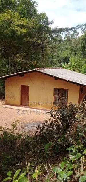 දියතලාවෙන් අගනා ඉඩමක් විකිණීමට