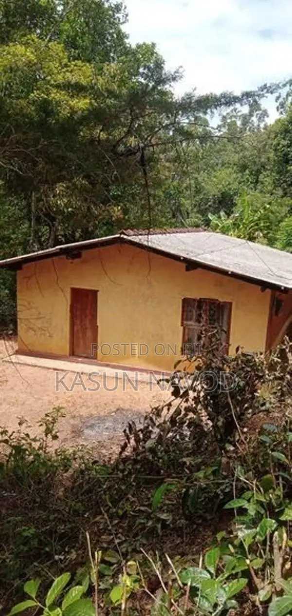 දියතලාවෙන් අගනා ඉඩමක් විකිණීමට