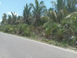 Agricultural Land for Sale in Sampalteevu, Trincomalee