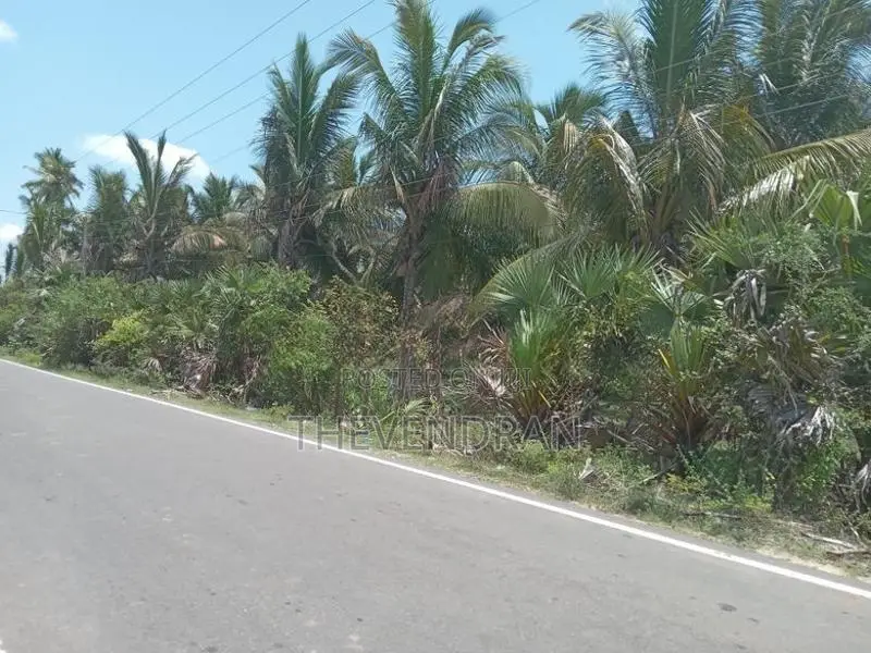Agricultural Land for Sale in Sampalteevu, Trincomalee