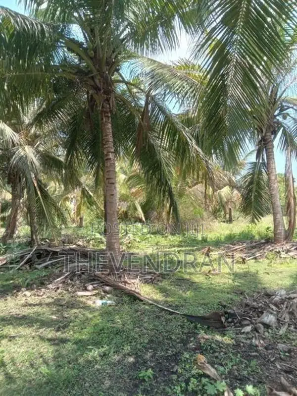 Agricultural Land for Sale in Sampalteevu, Trincomalee