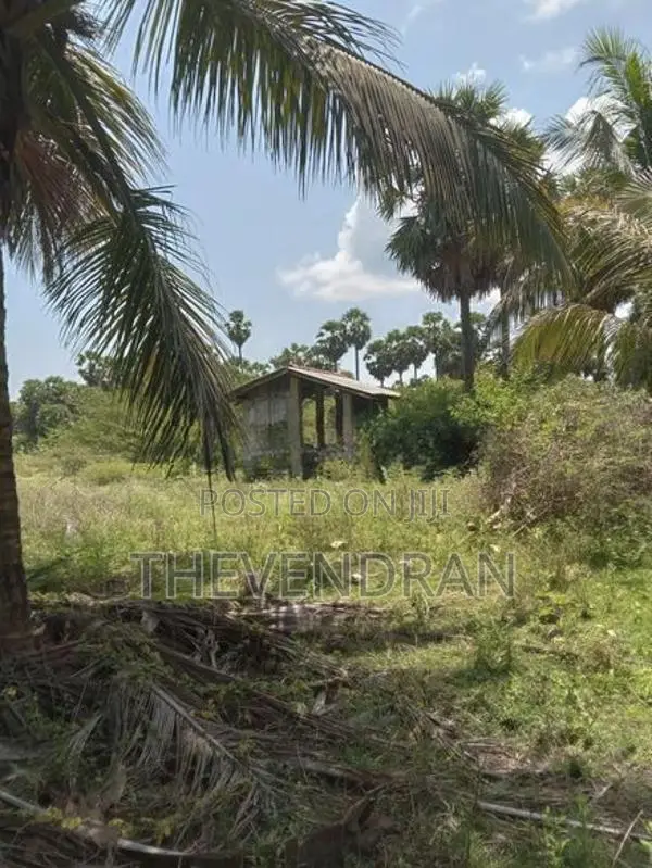 Agricultural Land for Sale in Sampalteevu, Trincomalee