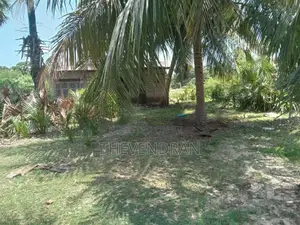 Agricultural Land for Sale in Sampalteevu, Trincomalee