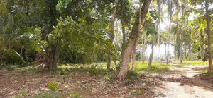 කුරුණෑගල අධීවේගී පිවිසුමට ළගින් ඉඩමක්