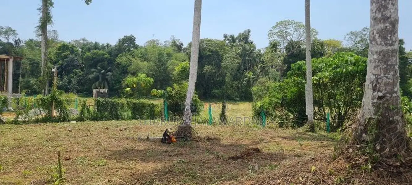 අගනා බිම් කොටස් විකිණීමට කහතුඩුව