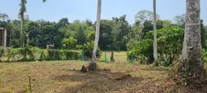 අගනා බිම් කොටස් විකිණීමට කහතුඩුව