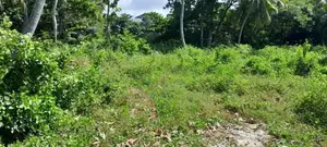 Prime Land for Sale in Wadduwa – Thalpitiya