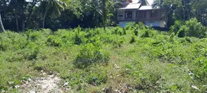 Prime Land for Sale in Wadduwa – Thalpitiya