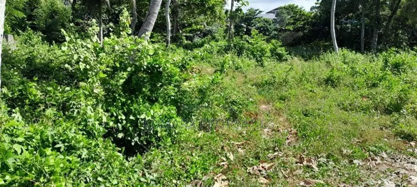 Prime Land for Sale in Wadduwa – Thalpitiya