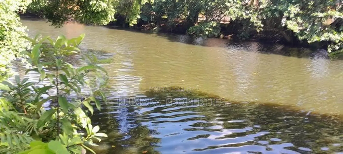 Prime Land for Sale in Wadduwa – Thalpitiya