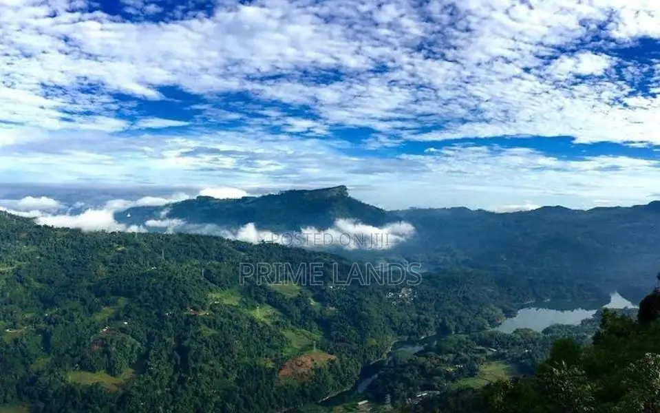 View Point Land for Holiday Deram