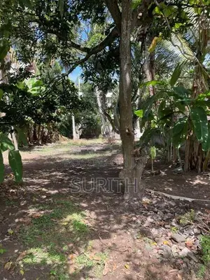 20 Perch Commercial Land for Long Term Lease