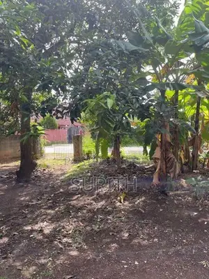 20 Perch Commercial Land for Long Term Lease