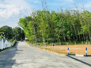 Land for Sale in Kaluaggala