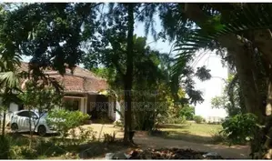 Moratuwa 110 Perches of Land with an Ancestral Home for Sale
