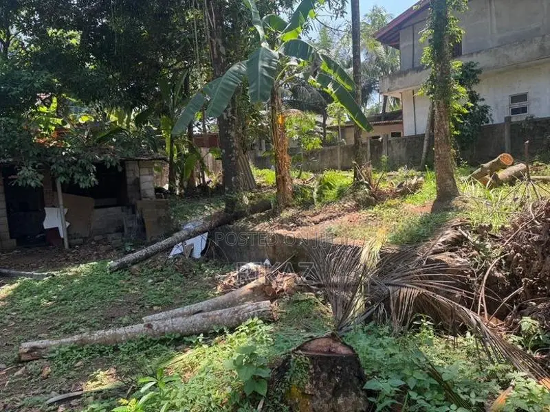 House With Land For Sale - Kal Eliya Mirigama