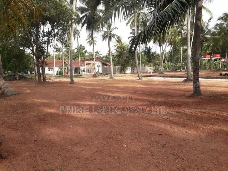 පදිංචියට නිස්කලංක ඉඩමක් බලල්ල